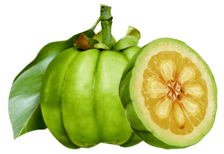 Garcinia cambogia